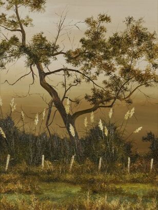 JUDITH MORETON Te Aroha