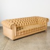 A Large Leather Chesterfield Sofa - 2