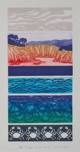 CYNTHIA TAYLOR Images Of The Sea II