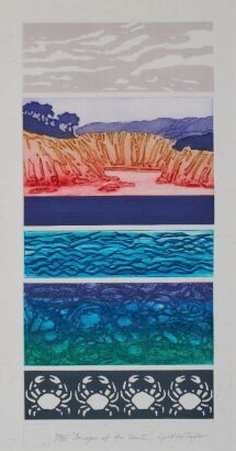 CYNTHIA TAYLOR Images Of The Sea II