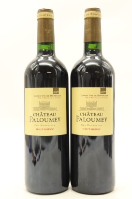 (2) 2009 Chateau Paloumey, Haut-Medoc [JR16.5]