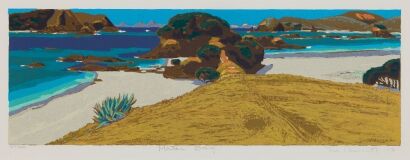 TOM BURNETT Matai Bay
