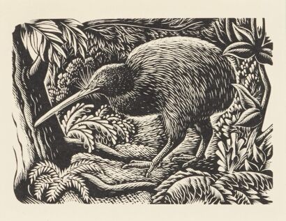 E. MERVYN TAYLOR Kiwi