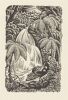 E. MERVYN TAYLOR Waterfall