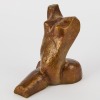 THEO JANSSEN Stretching Female Torso