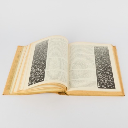 A First Edition Tolkien Bestiary by David Day