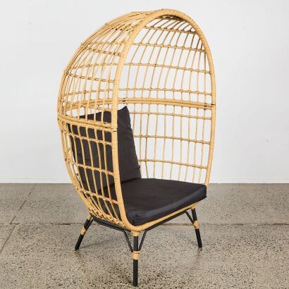 An Indoor/Outdoor Cane Porters Chair
