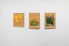STEVEN HEMMENS Welsh Poppies - 2