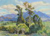 K AIRINI VANE South Island landscape