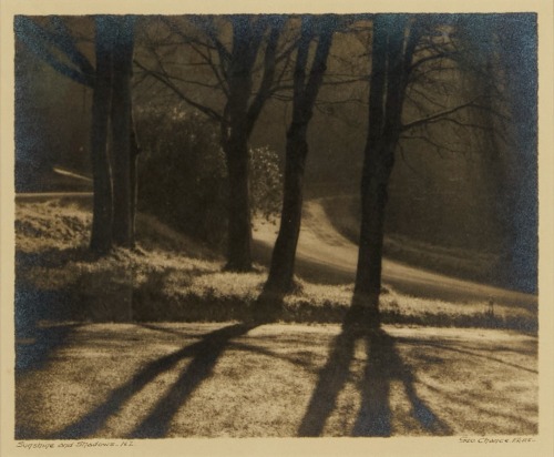 GEORGE CHANCE Sunshine and Shadow