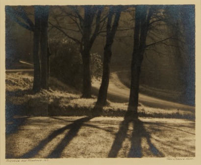 GEORGE CHANCE Sunshine and Shadow
