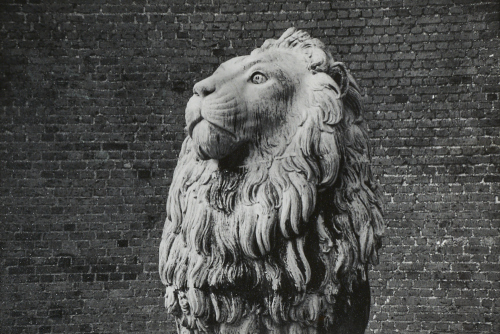 PETER PERYER The Lion, Copenhagen