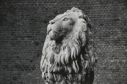 PETER PERYER The Lion, Copenhagen