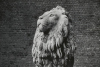 PETER PERYER The Lion, Copenhagen