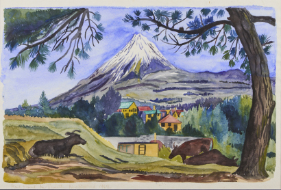 BARBARA HILL Mount Egmont, New Plymouth, New Zealand