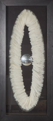 A Framed Feather Artwork