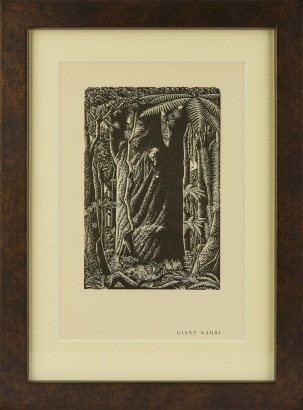 E. MERVYN TAYLOR Giant Kauri, Waipoua Forest,