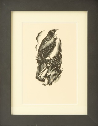 E. MERVYN TAYLOR Tui