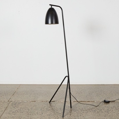 A Grasshopper Style Floor Lamp