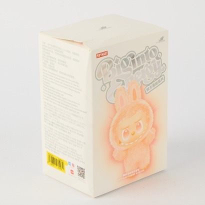 An Unopened Official Pop Mart Labubu The Monsters Big into Energy Series Box