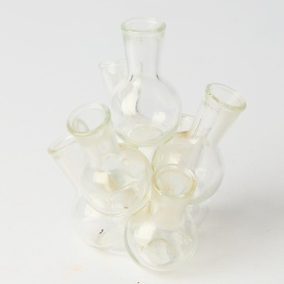 A Propagation Vase, 7 Pot