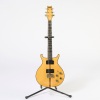 A Washburn Wing Series Eagle ​​​​​​​1978&ndash;79