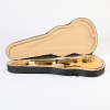 A Washburn Wing Series Eagle ​​​​​​​1978&ndash;79 - 2
