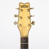 A Washburn Wing Series Eagle ​​​​​​​1978&ndash;79 - 3