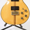 A Washburn Wing Series Eagle ​​​​​​​1978&ndash;79 - 5