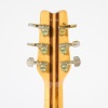 A Washburn Wing Series Eagle ​​​​​​​1978&ndash;79 - 6