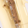 A Grafton Acrylic Alto Saxophone - 3