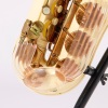 A Grafton Acrylic Alto Saxophone - 7