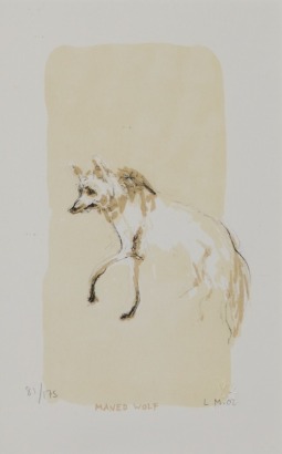 LEWIS MILLER Maned Wolf