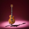 A 1979 "The Paul" Gibson Guitar - 10