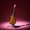 A 1979 "The Paul" Gibson Guitar - 11
