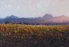 CLARRY NEAME Autumn Winefield
