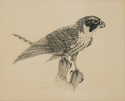 G. WATSON untitled