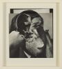 PETER MADDEN untitled - 2