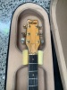 A Washburn Wing Series Eagle ​​​​​​​1978&ndash;79 - 10