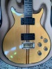 A Washburn Wing Series Eagle ​​​​​​​1978&ndash;79 - 12