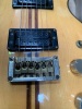 A Washburn Wing Series Eagle ​​​​​​​1978&ndash;79 - 13