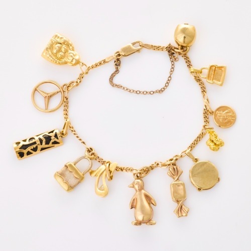 9ct Yellow Gold, 16.5cm Charm Bracelet