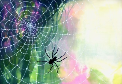 SARAH WILKINS Poem for Ataahua - What Does the Spider Say ?