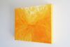 KIERAN TRAINOR Sunburst