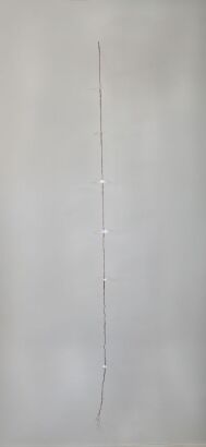 BELLE ALISON EVANS Align