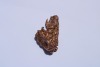 BELLE ALISON EVANS Worry Stone #1