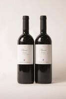 (2) 2006 Domenico Clerico Pajana Barolo, Piedmont