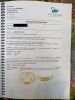 18ct Yellow Gold, 1.37ct Diamond / Cultured Akoya Pearl Necklace - 3