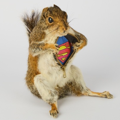 A Taxidermy Squirrel with Superman Costume