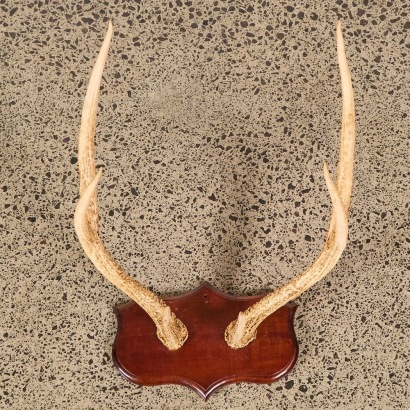 An Antique Pair of Mounted Six-Point Deer Antlers